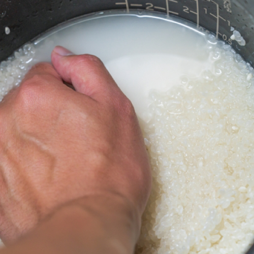 お米を洗う時に水が白濁するのってなにかの成分？